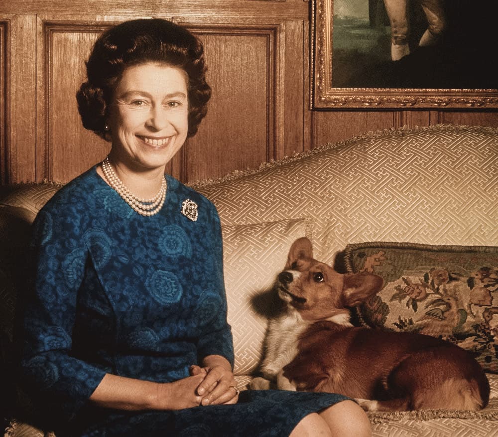 Corgi, a raça dos cães da Rainha Elizabeth II