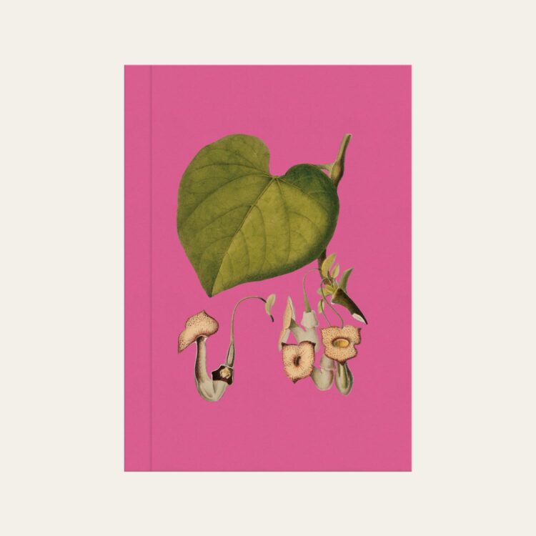 Caderno brochura com ilustração botânica minimalista