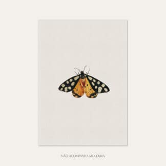 Gravura com ilustração de insetos, composta por borboleta amarela, tamanho A3, A4 ou A5