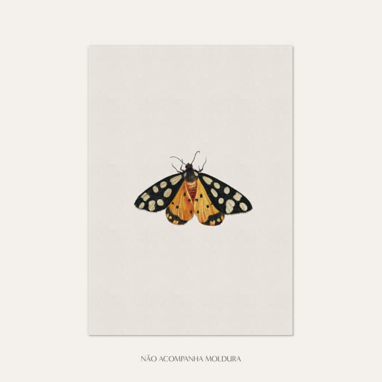 Gravura com ilustração de insetos, composta por borboleta amarela, tamanho A3, A4 ou A5