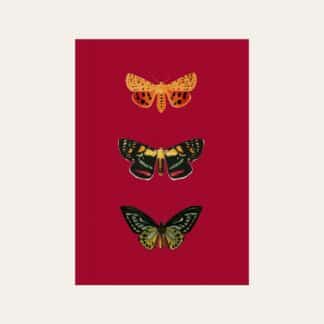 Caderno brochura com ilustração de borboletas minimalista