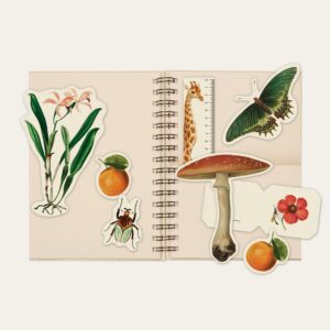 Acessórios do planner personalizado com ilustrações botânicas, animais e frutas Colmeias Design
