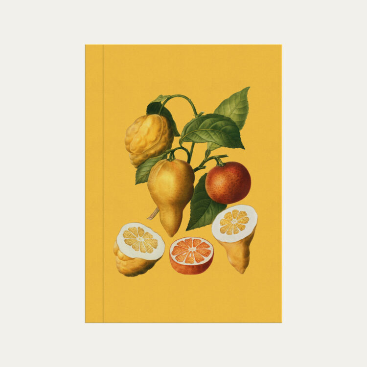 Caderno brochura amarelo com ilustração citrus Colmeias Design