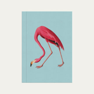Caderno brochura azul tiffany com ilustração de flamingo Colmeias Design